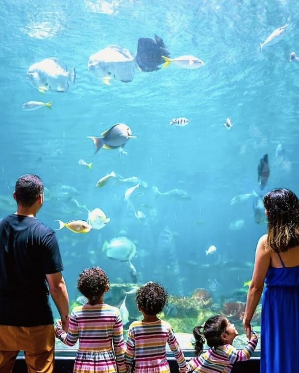 20+ Family-Friendly Things to Do in Manila Without Breaking the Bank