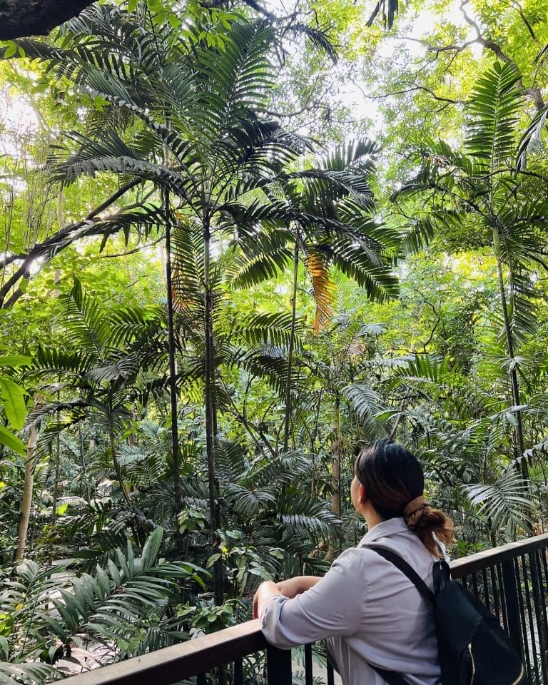 15+ Best Parks in Manila for a Relaxing Day Out 