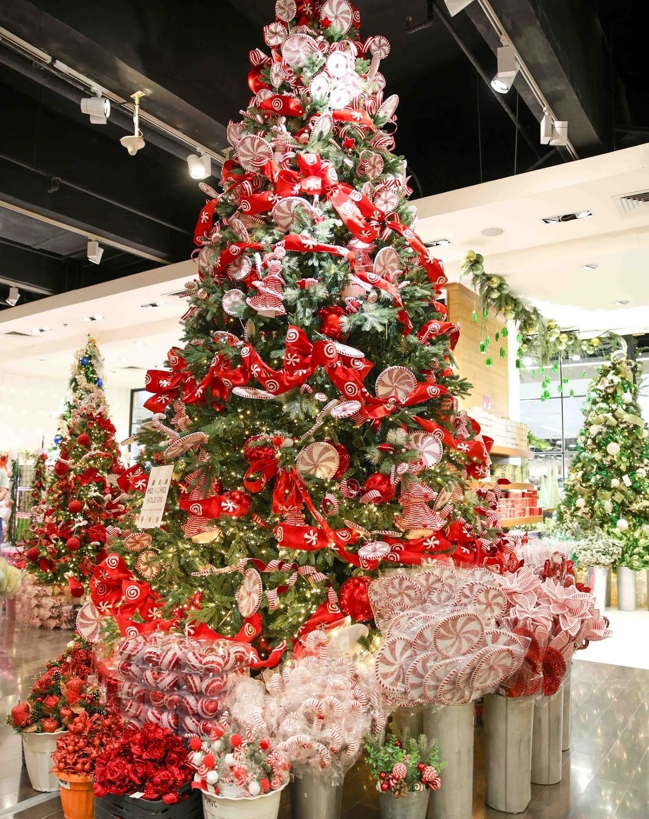 Where to buy Christmas trees Metro Manila
