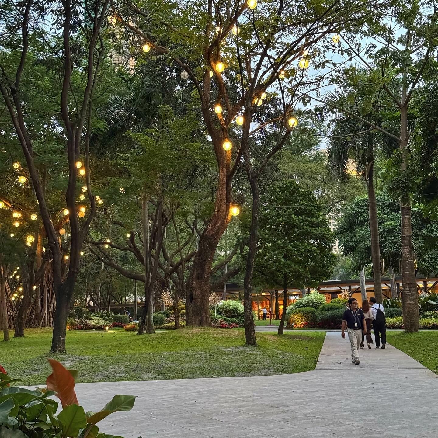 Ayala Triangle Gardens after dark