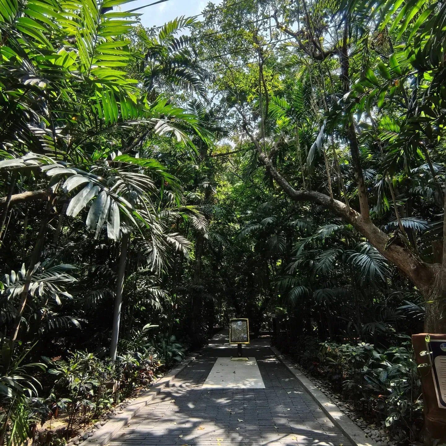 things to do in Manila this week